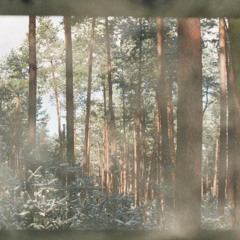 Aso - thoughts