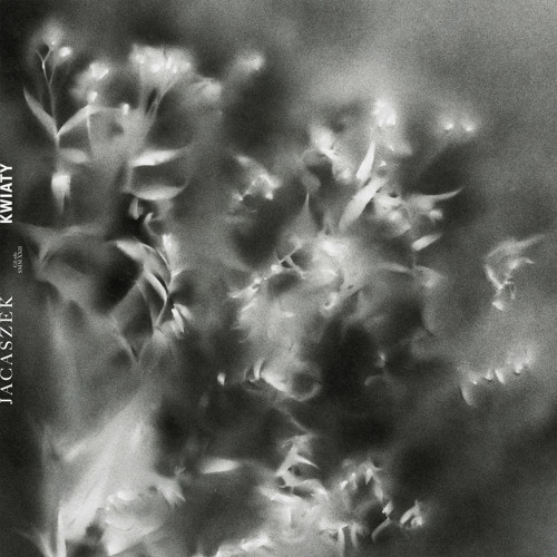 Jacaszek - Soft Music
