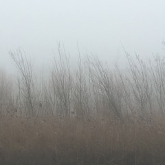 Shimmering Moods @ Resonance Extra #6