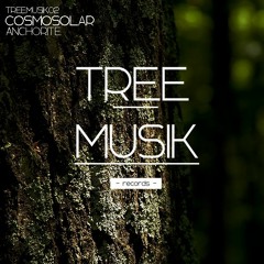 Cosmosolar - Anchorite (Original mix)