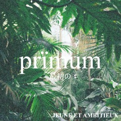Prïmum