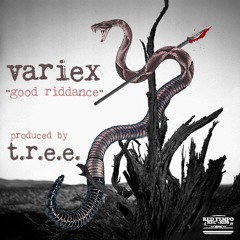 Good Riddance (prod. T.r.E.E.)