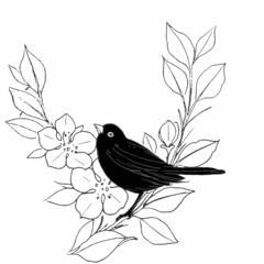 Calisto's Night (Album Stream)