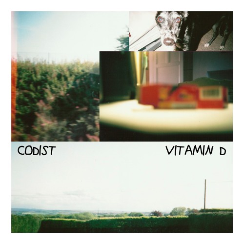 Codist - Vitamin D
