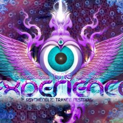 AU/D10/GRAMME _-_ TRIBUTE SET FOR EXPERIENCE FESTIVAL