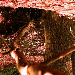 Lessons (Demo) Prod. Brandon Slaughter