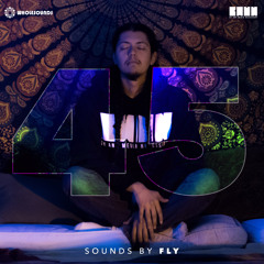 45. Sounds By Fly