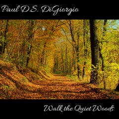 Little Girl (You're My World) - Paul D.S. DiGiorgio