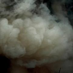 We Are Forgotten Twilight