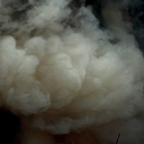 We Are Forgotten Twilight