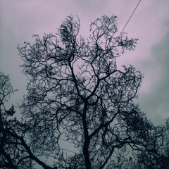 Cold World (feat. Meghan)