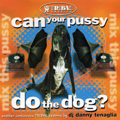 341 - Danny  Tenaglia - Can Your Pussy Do The Dog? (1995)