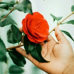 Điều vô lý thứ nhất [7.2.17]