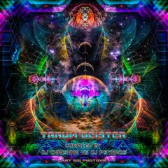 Paranoia Sector - Dogma Architect (V​/​A Traum Geister - Luminati Records)