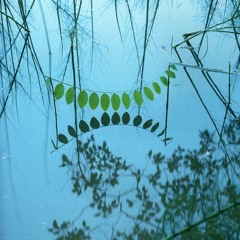 MAVOY MUSIC FRIDAY 21 APRIL 2017