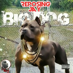 Big Dog by Reposing Jay (prod. Kid Flash)