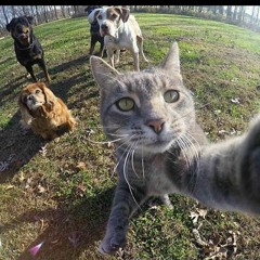 BOA NOITE PRA RAPAZIADA (DJ BALINHA DE SG)