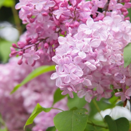 二人ぼっち時間 By User