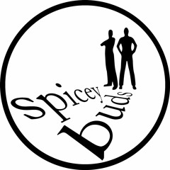 Complicated  The Spiceybuds