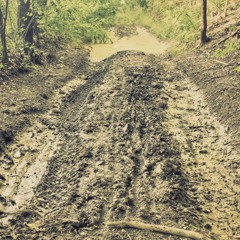MUD