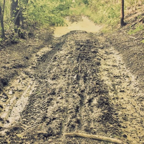 MUD