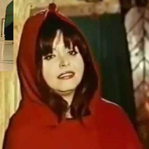 جاري يا حمودة