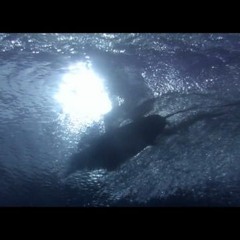 O´NEILL - A Perfect Storm