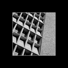 Brutal World