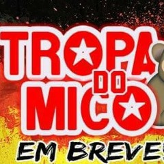 MTG TROPA DO MICO DO FMC  ( STUDIO CDC) 2017