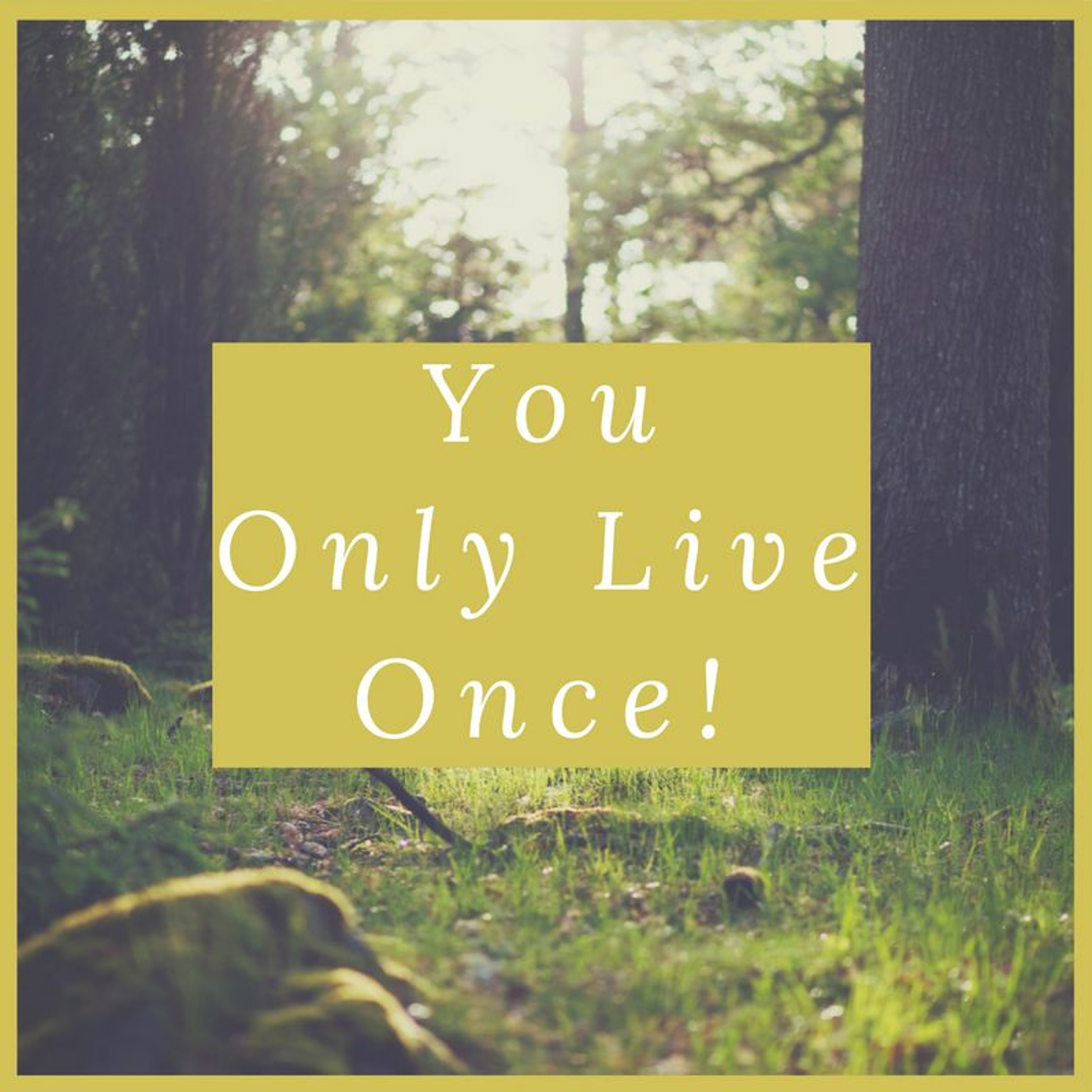 You Only Live Once episode artwork