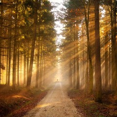 Transcendance
