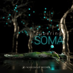 Cubering - Nova