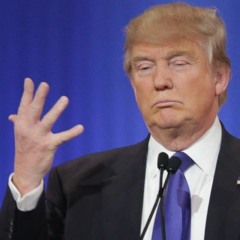 The 45th President of the United States of America (I Moved on Her Like a Bitch)