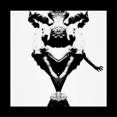 Restive Plaggona - The Burned Letter [DVNTTLP01] [Limited Edition Cassette]