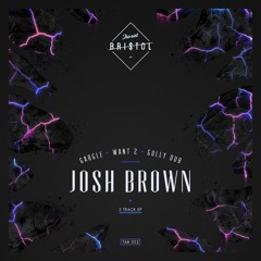 Josh Brown - Want 2 (Original Mix)