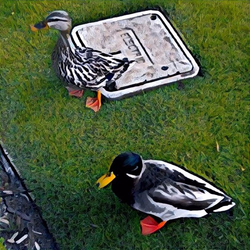 marc x k2 - nobody (prod. sain)