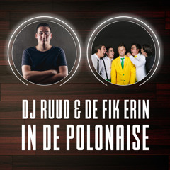 DJ Ruud & De Fik Erin - In De Polonaise