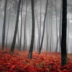 Hunt & Gather Podcast: Joel Pryde