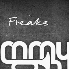 Timmy Trumpet - Freaks (DJ Linnik3r Remix)