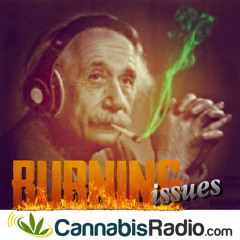 Burning Issues - Just Say Yes: A Marijuana Memoir Part 2