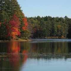 Tully Pond by Frank (feat. Nic)