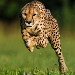 EvidenteBt - "Carrera" - 2° Sample Batalla de Beats "Nacidos para hacer Hiphop"