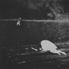 SLEEPRUNNER - Lonely Paradise (O how I envy death.)