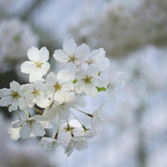 批評是一種傳染病020317