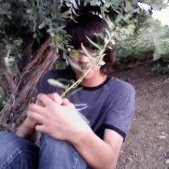 HiDDenHillz (PSILO SCRIBBLE)