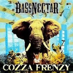 Bassnectar - Are You Ready
