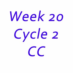 C2 Week 20 - English - Apositive