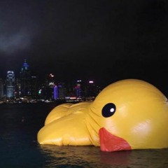 Sagermen - Bubberducky