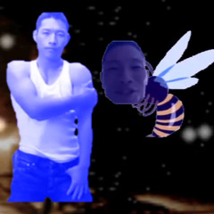 Niconico, 音MAD 9