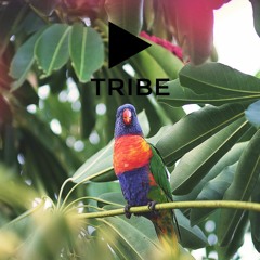 Raise It (Synth Heavy - Melodic Beat)